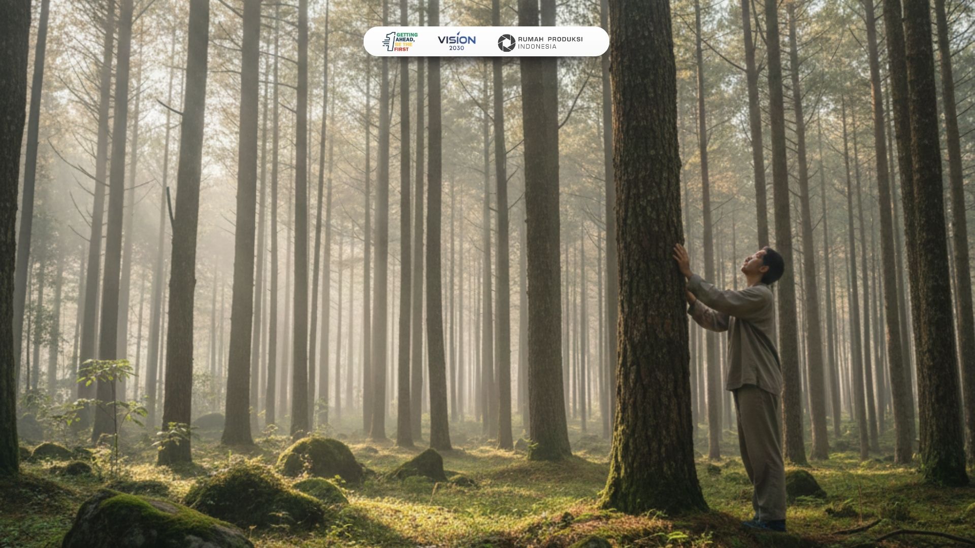 Forest Bathing Hutan Pinus Mangunan untuk Menenangkan Pikiran dan Mengembalikan Energi